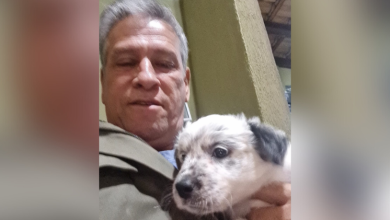 Ricardo Chimirri Candia